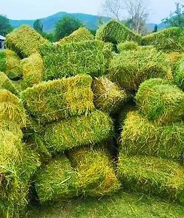 режу барана: Продам сено, клевер, тюки! — 1