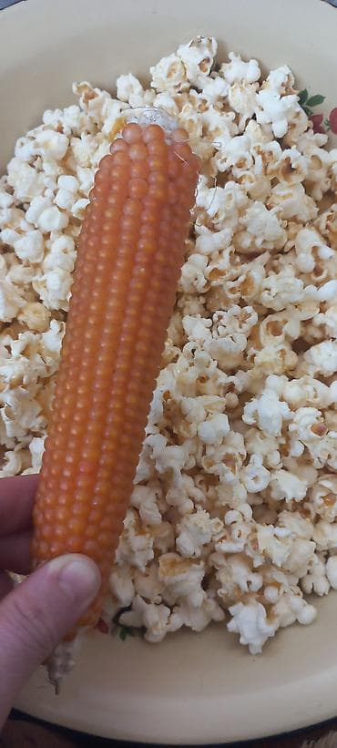 Кукуруза В розницу