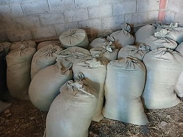 Продаю песок 23 шт мешка отдам все