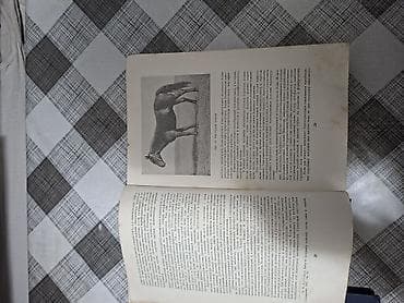 Книги и журналы: Продаю редкую книгу. Тираж-25тыс .экз. Год выпуска 1952. ( Москва ) — 10