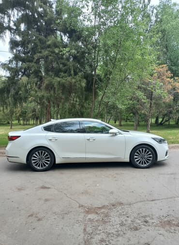 боковое зеркало рекс: Kia K7: 2019 г., 2.4 л, Автомат, Бензин, Седан — 2