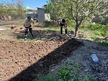 клининн: Аймактарды жыйнап тазалоо, Уборка двора и сада — 4