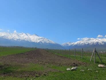 гостиница бишкек рядом: 150 соток, Для сельского хозяйства — 3