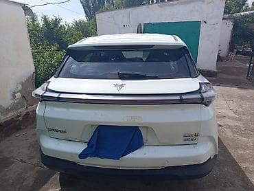 морда на рекс: Roewe : 2022 г., Электромобиль, Кроссовер — 3