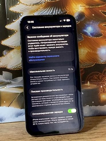 13про: IPhone 13 Pro, Б/у, 256 ГБ, Графит, Чехол, 75 % — 4