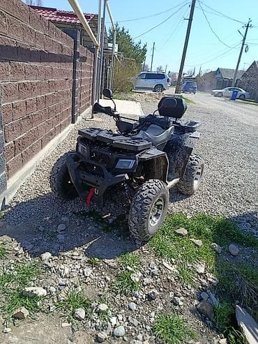 восход мото: Квадроцикл Бензин, 200 куб. см, Взрослый — 5