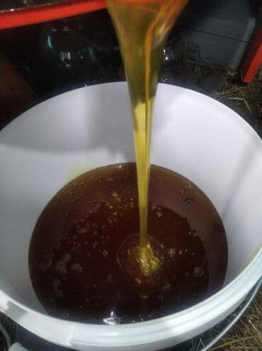 ящик пчелы: Продаю! Натуральный Мёд 
Разные сорта 
Соты
Прополис — 3