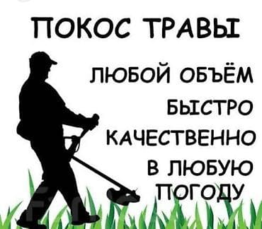 Уборка территории: Уборка территории, Стрижка газона — 1
