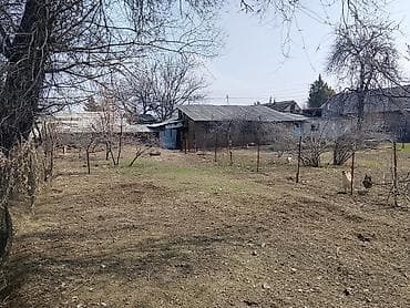 комната можно с животными: Продается жилой дом с участком.С Романовка Пионерская 29.участок 16,8 — 6