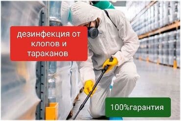 Дезинфекциялоо, дезинсекциялоо, | Канталалар, Бүргөлөр, Таракандар, | Транспорт, Офистер, Батирлер