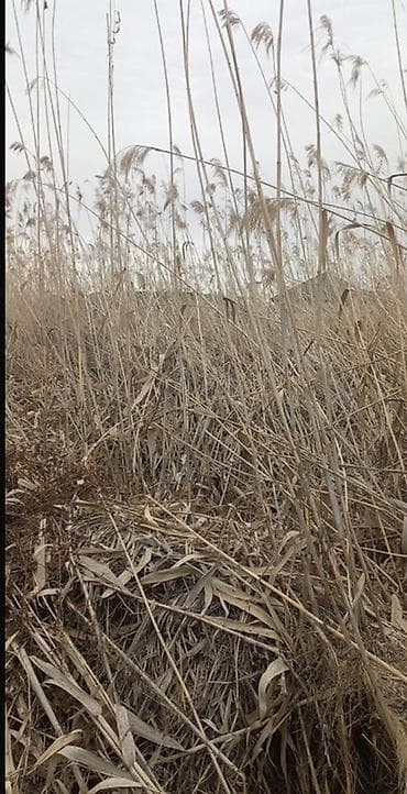 фучика 18 а: 5 соток, Для строительства, Договор купли-продажи — 3