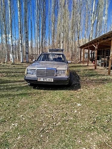 Mercedes-Benz W124: 1989 г., 2.5 л, Ручные, Дизель, Универсал