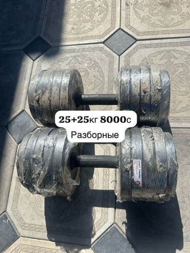 Кышкы спорт: Разборные гантели из металла, каждая весом 15 кг, предлагают удобство — 6