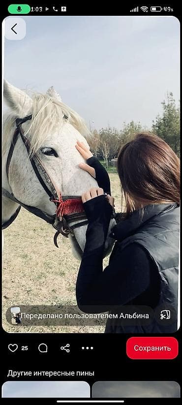 упаковка надом: Упаковщик — 5