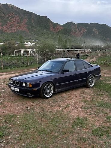 e34 540: BMW 5 series: 1991 г., 3.2 л, Механика, Бензин, Седан — 2