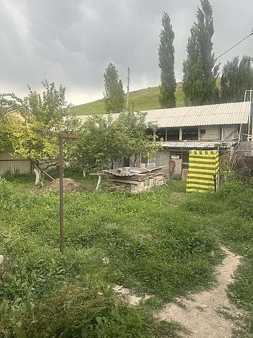 земельный участок токмок: 5 соток, Договор купли-продажи — 3