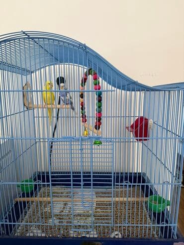 Грызуны: Просторная металлическая клетка для птиц, выполненная в голубом цвете — 1