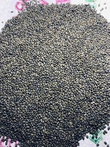 опрыскиватель садовый бишкек: Семена кормовых растений: Люцерна — 2