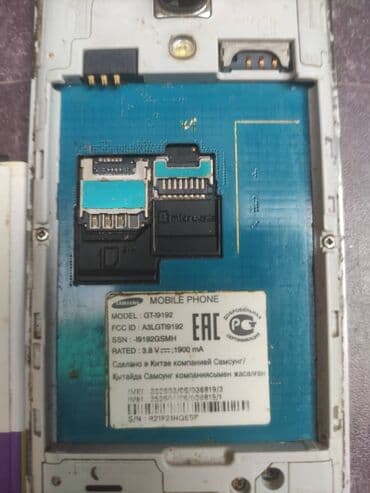 необычные животные: 500с — 3