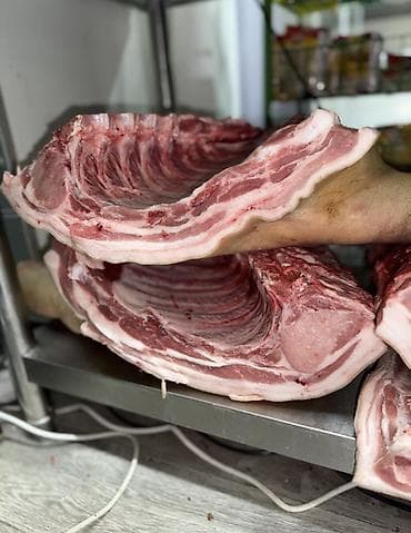 мясо продажа: СВИНИНА

猪肉。家养猪肉，非常美味。每天都有新鲜猪肉供应。

现有以下部位：
	•	后腿肉
	•	前腿肉
	•	猪排和排骨
	•	五 — 4