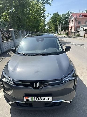 xpeng g3: Weltmeister W6, 2022 г., 87000 км, Передний — 1