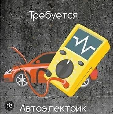готовый бизне: Требуется Автоэлектрик либо сдаю готовый боксы с хорошей клиентурой в — 1