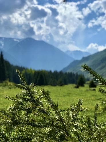 Jetour: 🌄 Откройте для себя дикие красоты с нашими джип-турами по горам! 🌄 — 10