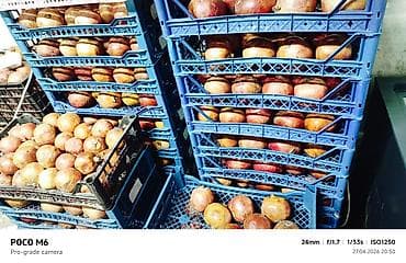 Гранаты и свежевыжатый гранатовый сок Описание: - Спелые гранаты в