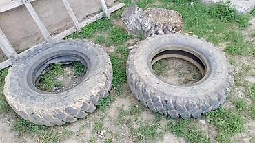 шины 24550 r20 зима: Шины для спецтехники экскаватор 140 — 5