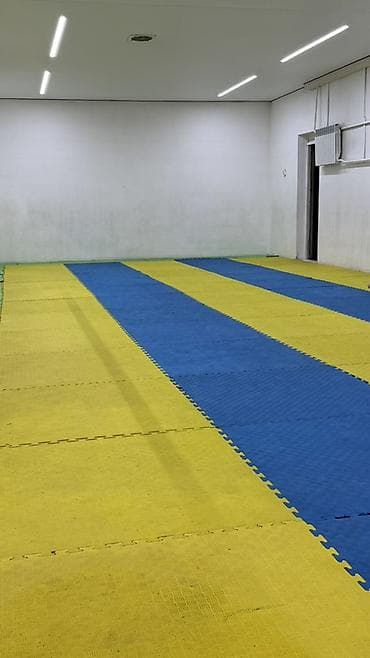 Покрытие для спортивного зала — модульные маты-эвамат (татами)