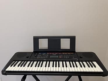 PSR-E263 Y
