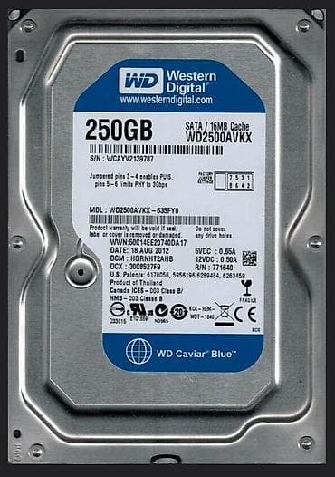 Настольные ПК и комплектующие: Накопитель для ПК, Б/у, Western Digital (WD), HDD, 256 ГБ, 3.5", Для ПК — 1