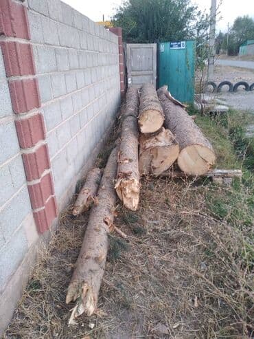 декор для сада купить: Предлагаются бревна, представляющие собой стволы деревьев, распиленные — 5