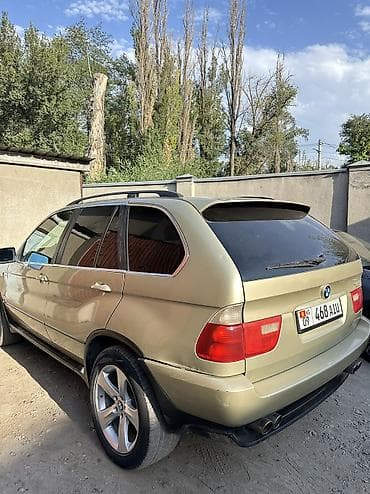 BMW X5: 1999 г., 4.4 л, Автомат, Бензин, Кроссовер