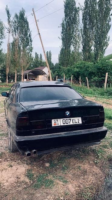 удаление сажевого фильтра цена: BMW 5 series: 1991 г., 2.5 л, Механика, Бензин, Седан — 3
