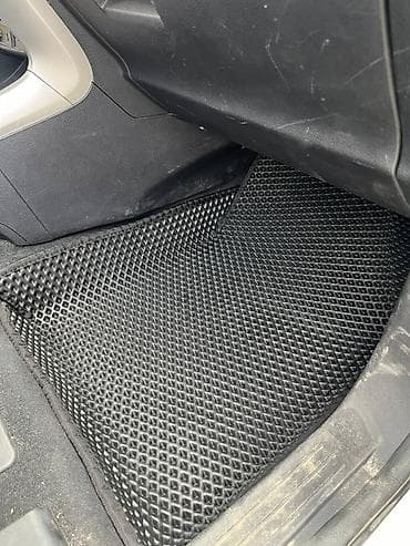 auris: Полики — 5