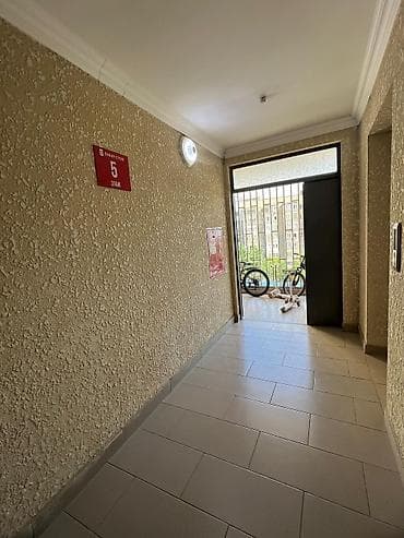 5: 1 комната, 42 м², Элитка, 5 этаж — 6