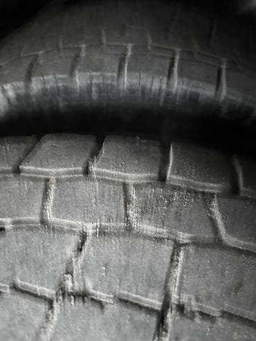 дом калёсах: Тягач, Scania, Тентованный — 4