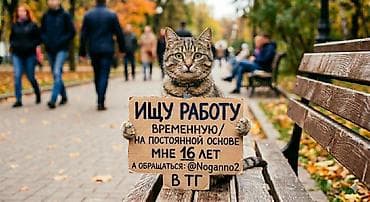 Услуга: ищу работу (временной или на постоянной основе) Описание: -