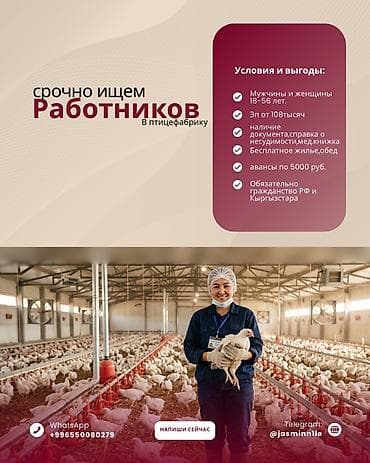 Работа: Требуется Птичник, Оплата: Ежемесячно, Питание — 1