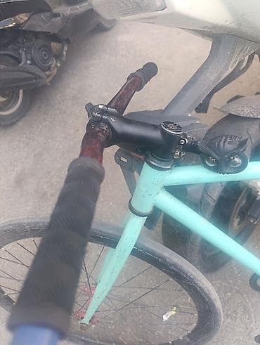 фиксы велики: Фикс‑байк (single speed) без тормозов iron - Рама: стальная — 4