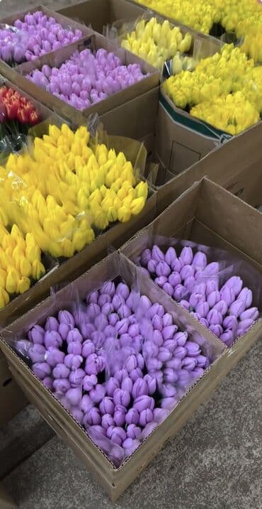 форель живая: Тюльпаны Оптом 🌼️ Хочешь покорить сердца миллионами улыбок? Начни с — 8