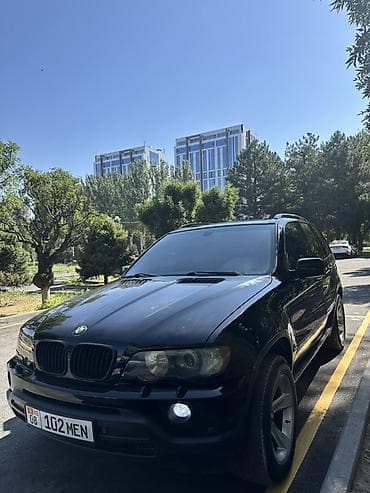 bmw x5 e53 4 8: BMW X5: 2003 г., 3 л, Автомат, Дизель, Внедорожник — 5