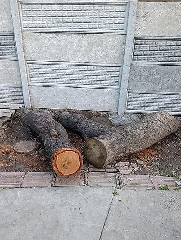 токмок отун: Отун — 2