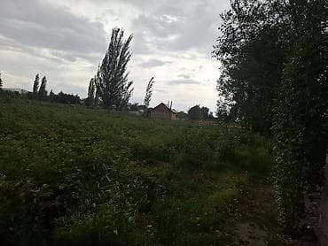 дом арча бешик: 5 соток, Курулуш, Техпаспорт — 3