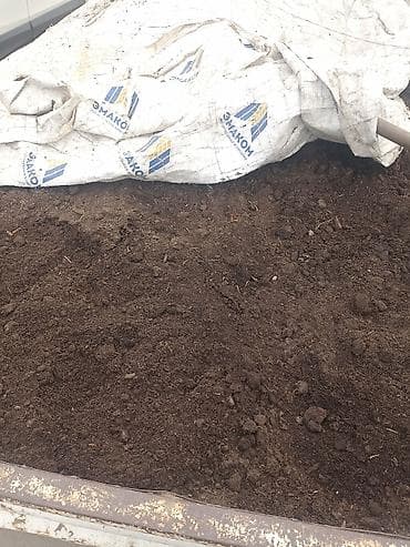 саат ош: Чиринди топурак сатылат — 3