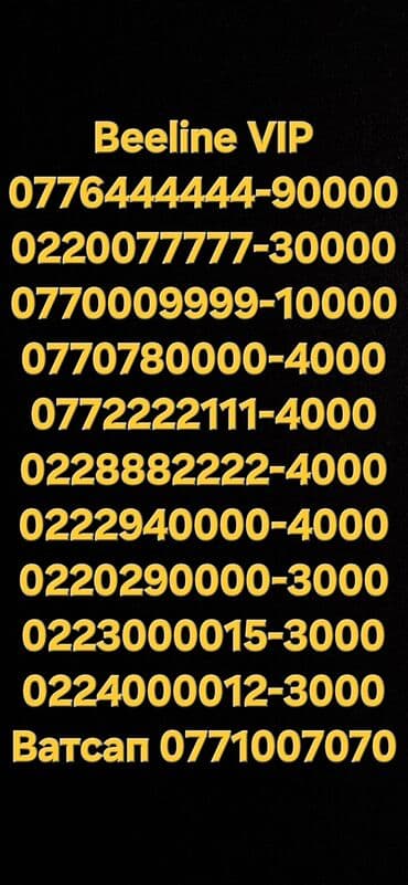 кнопочный телефон с ватсапом бишкек: SIM-карты — 1