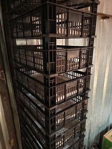 продаю пластиковые ящики: Пластиковый Ящик — 2