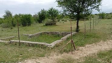 Земельные участки: 5 соток, Красная книга — 4