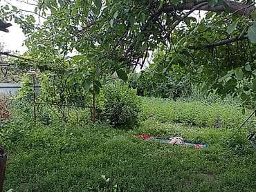 сниму дом лебединовка: 🏡 Продаётся уютный дом в районе Покровки! ✔ 4 большие, просторные — 5
